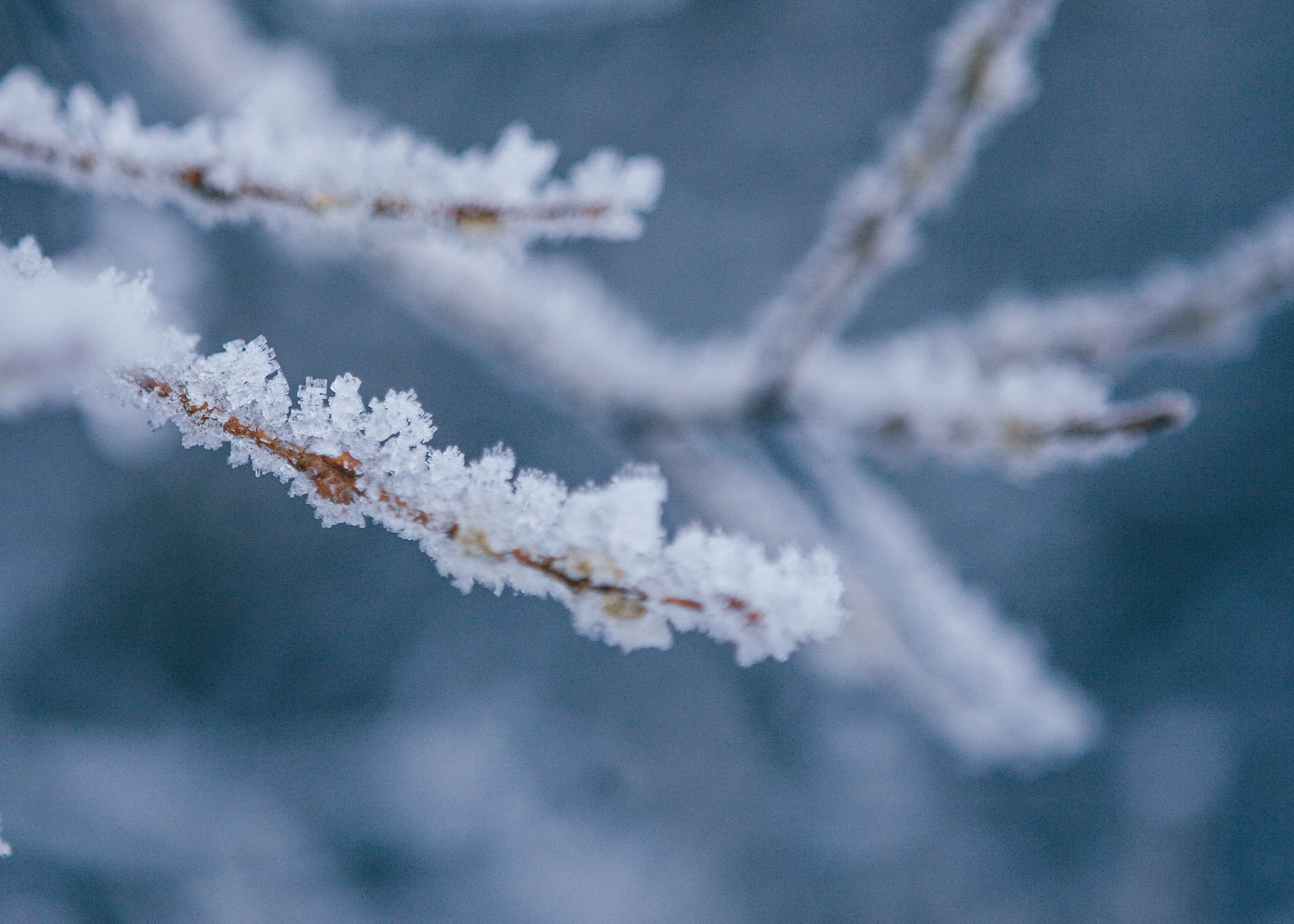 Maramureș sub ger năprasnic: -13 grade la munte și livezi distruse de îngheț!