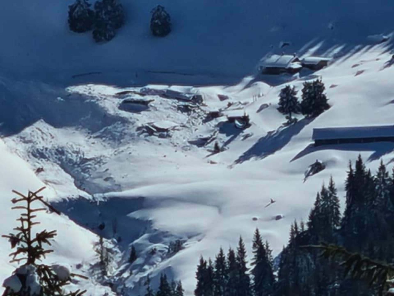 Ger polar în Maramureș: -13°C în Rodnei. Culturile pomicole, în pericol!