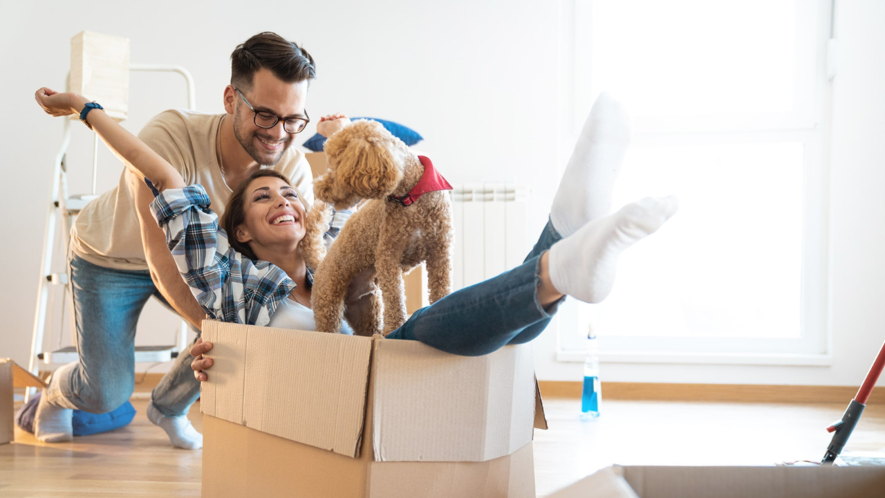 Mutarea într-un apartament cu 2 camere în 2026: costurile șocante care îți golesc contul!