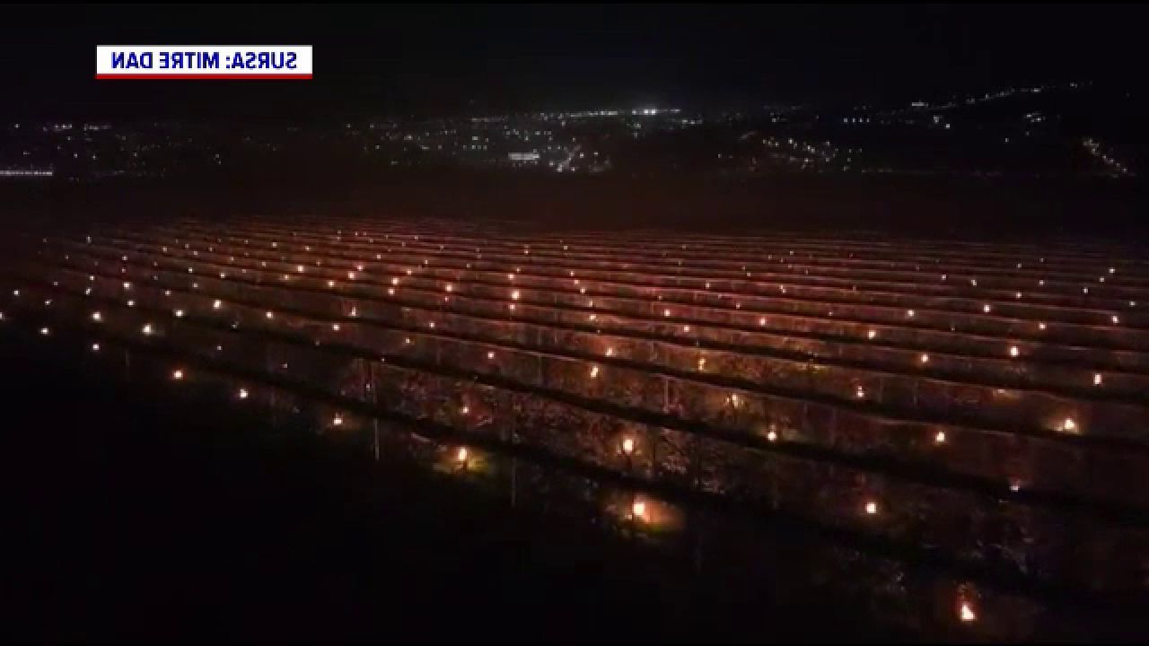 4.000 de lumânări și 40.000 €: Sacrificiul unei ferme din Cluj pentru a-și salva livada de la îngheț