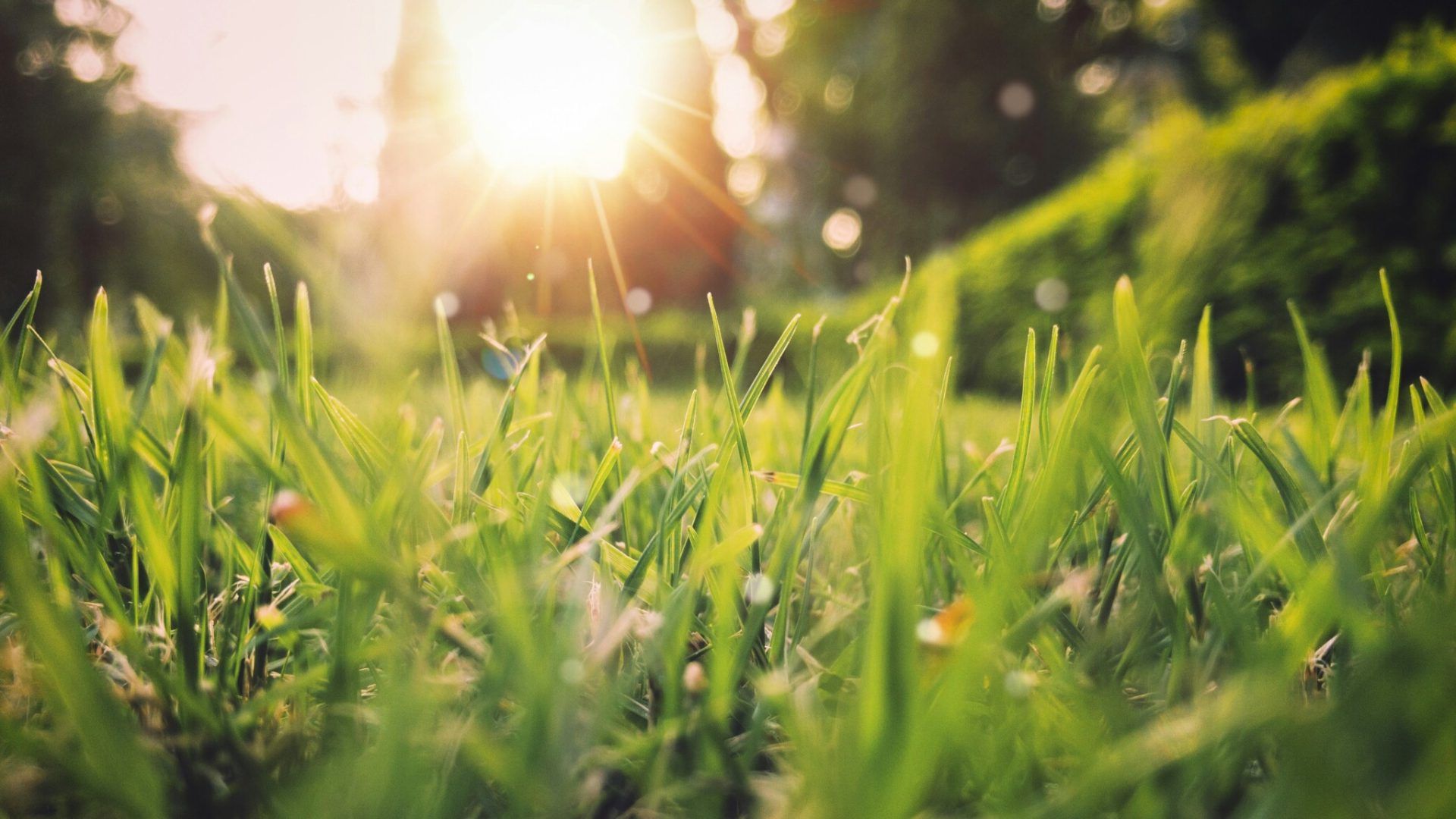 Vremea se încălzește, dar ploi locale strică bucuria!