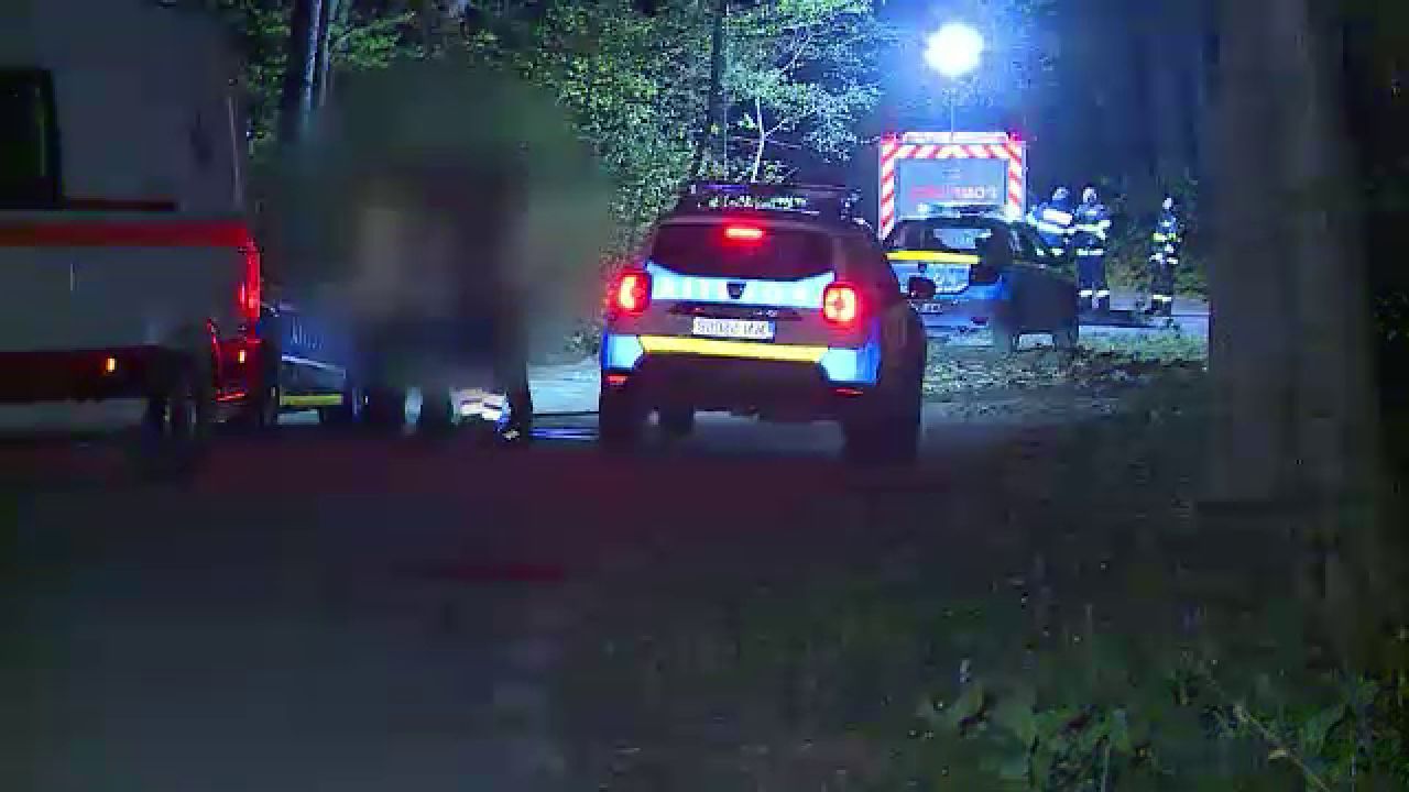 Tragedie de Paște: Doi tineri au murit după ce au intrat cu viteză într-un copac lângă Snagov
