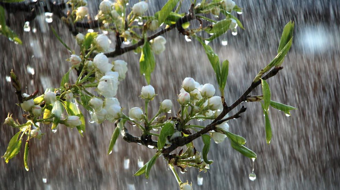 Vremea se schimbă radical! Temperaturi în scădere și ploi abundente în weekend. Unde lovește instabilitatea?