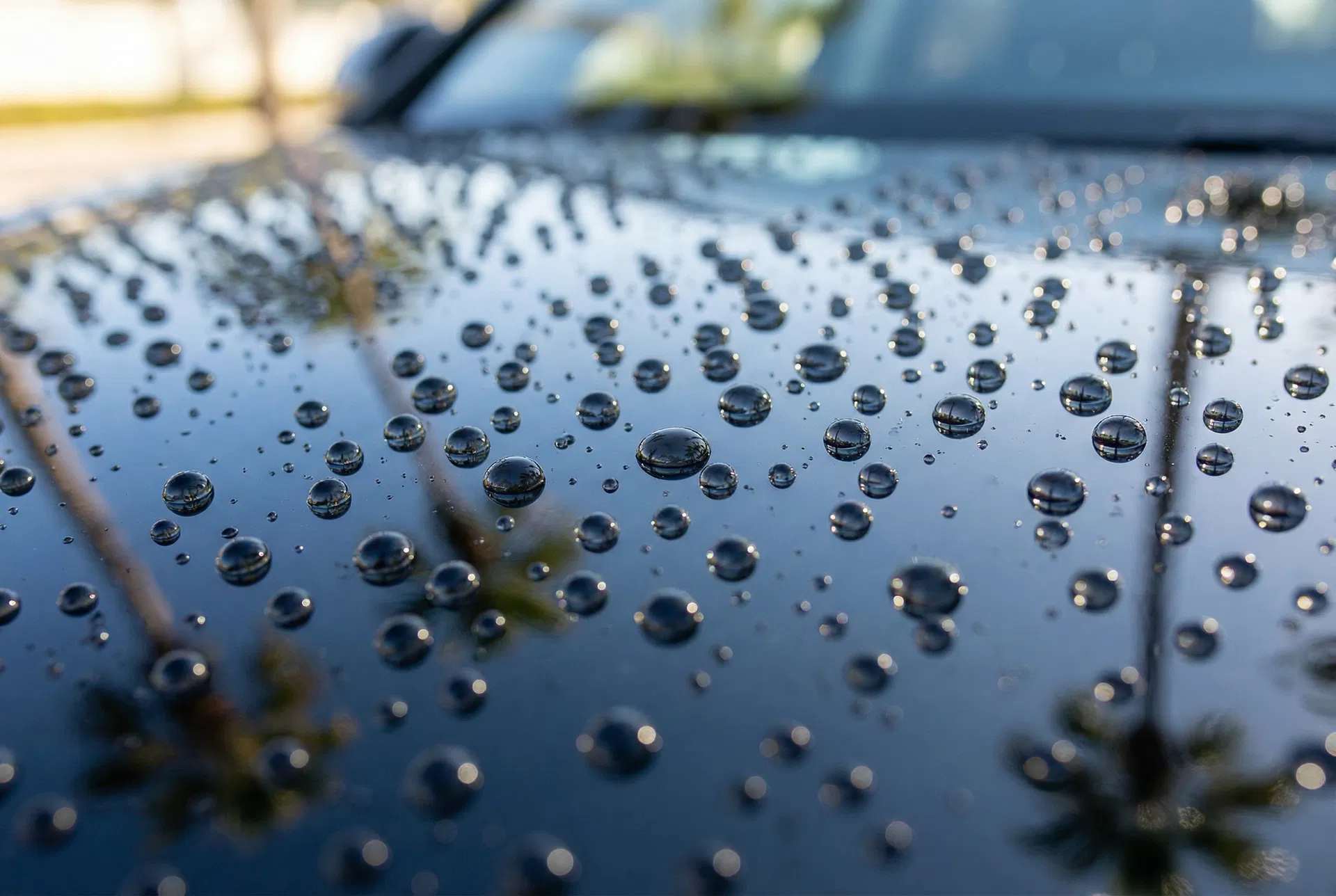Water beading on freshly ceramic-coated black car hood macro shot