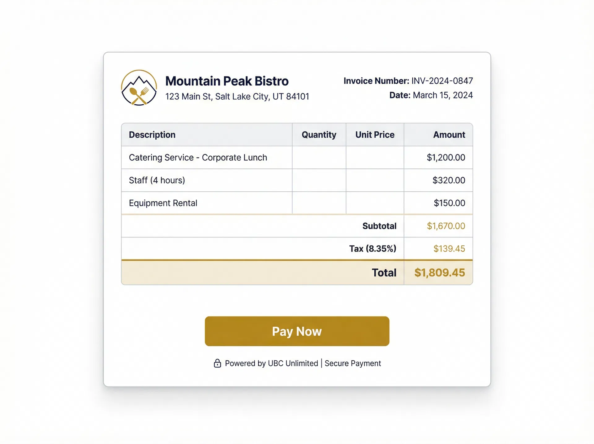 Branded digital invoice with Pay Now button — UBC Unlimited invoicing