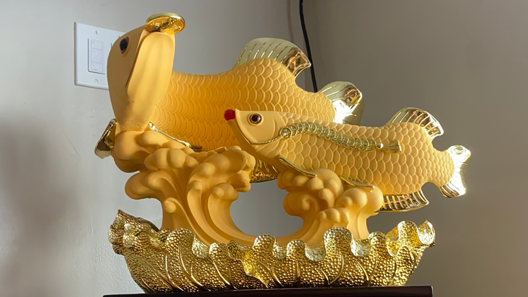 Alina's Asian Cuisine