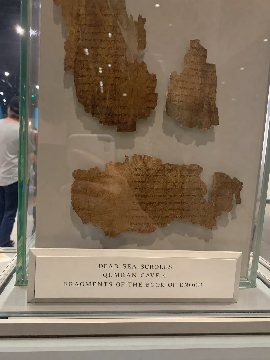 Dead Sea Scroll fragments of the Book of Enoch displayed in a museum case