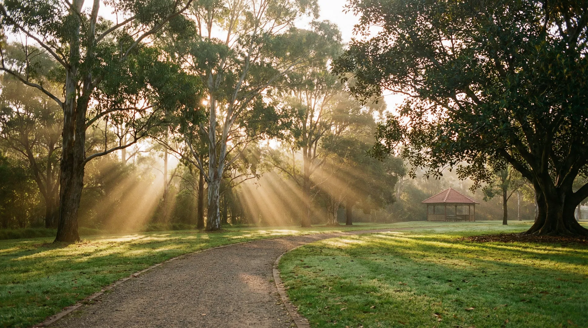 Strathfield Park morning light