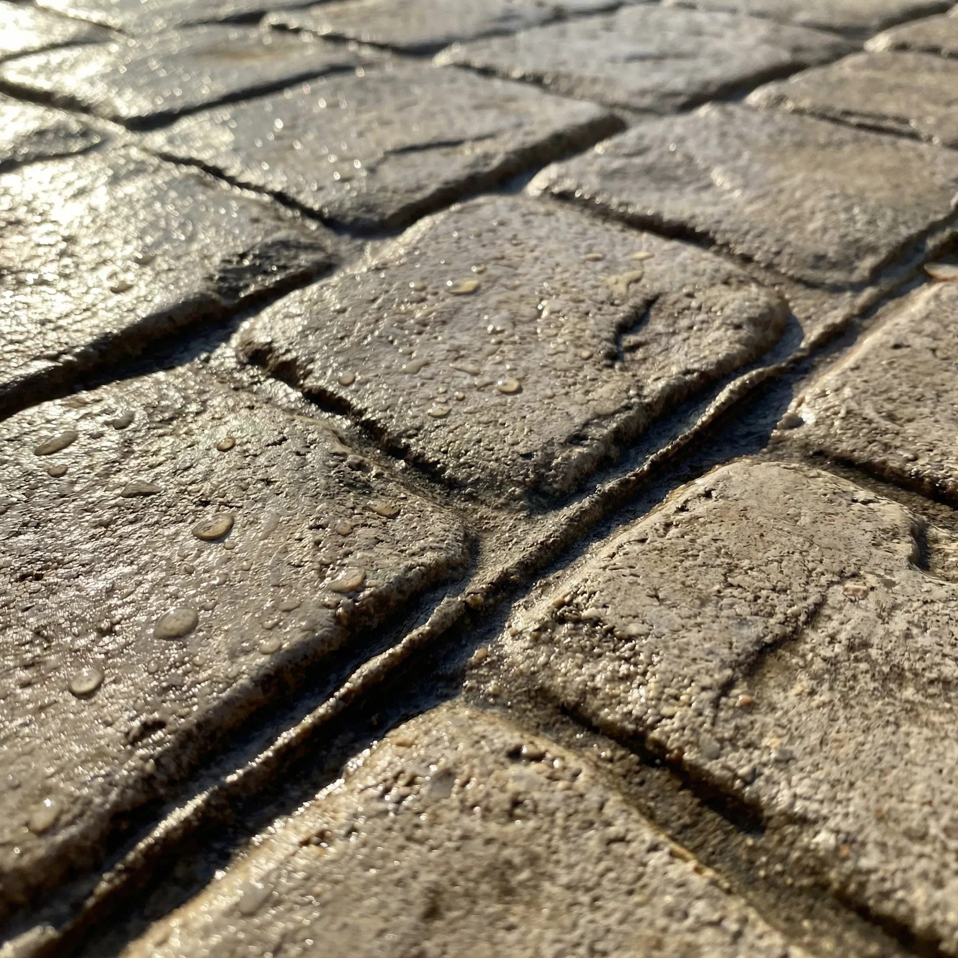 Trotuare & Alei Pietonale