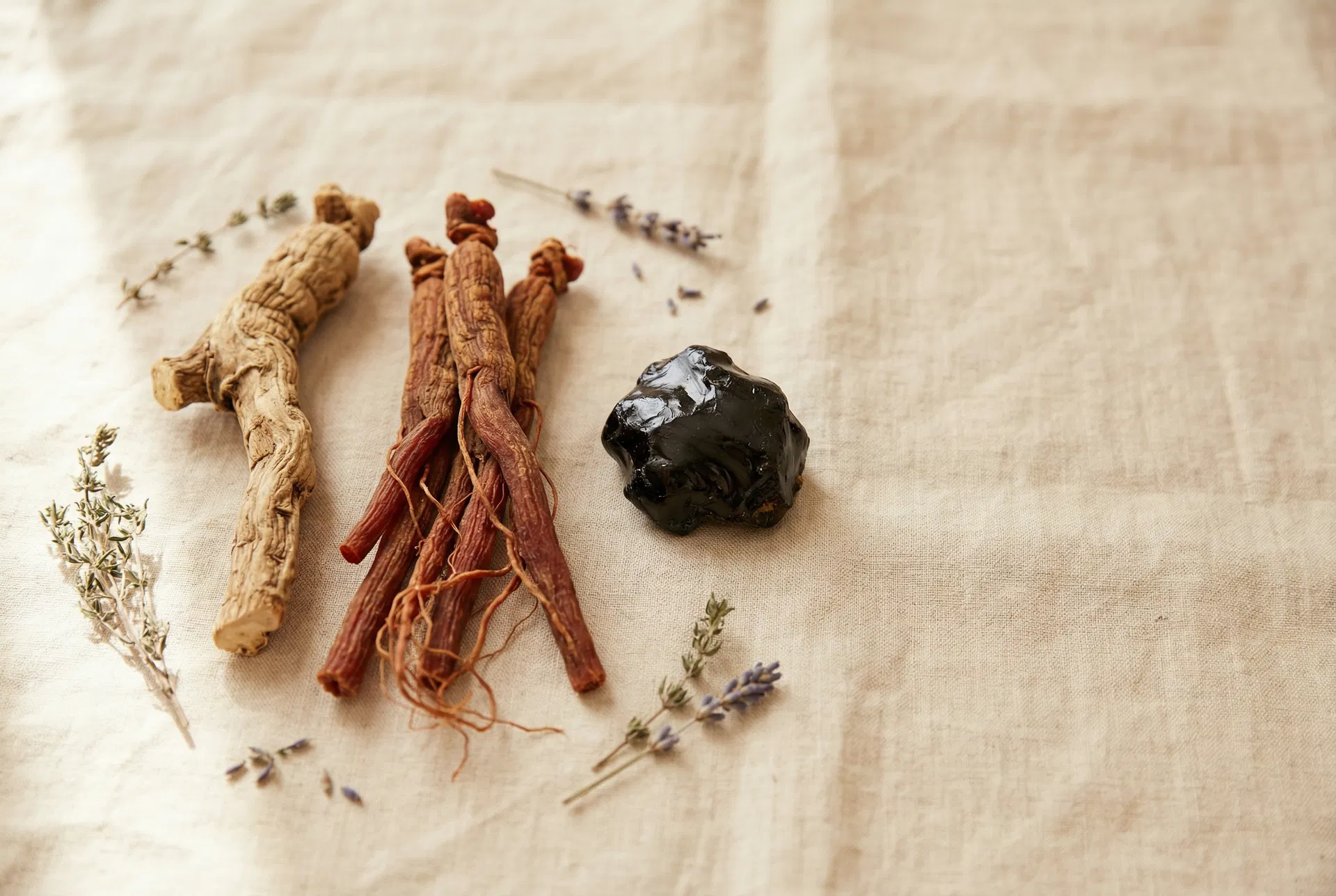 Tongkat Ali root, Korean Red Ginseng, and Himalayan Shilajit — the three hero ingredients in OJI 2.0