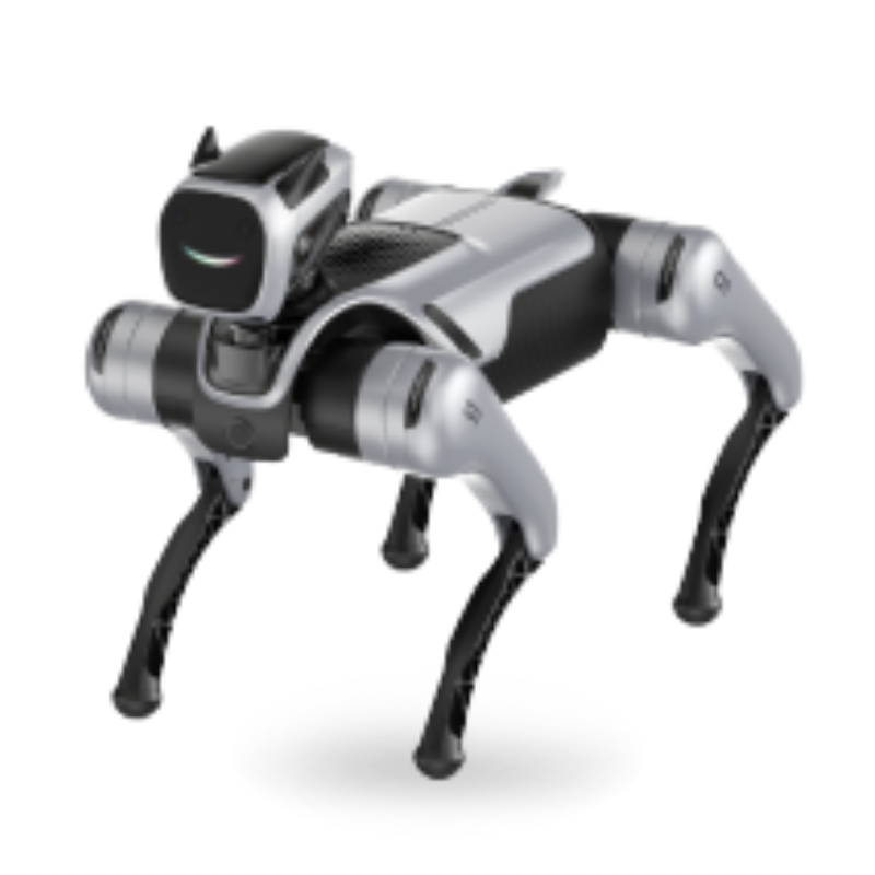 MagicDog EDU