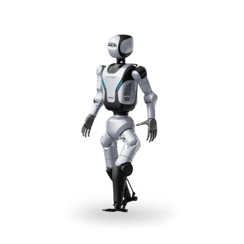 ROBAN2