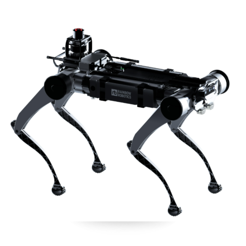 RBQ10