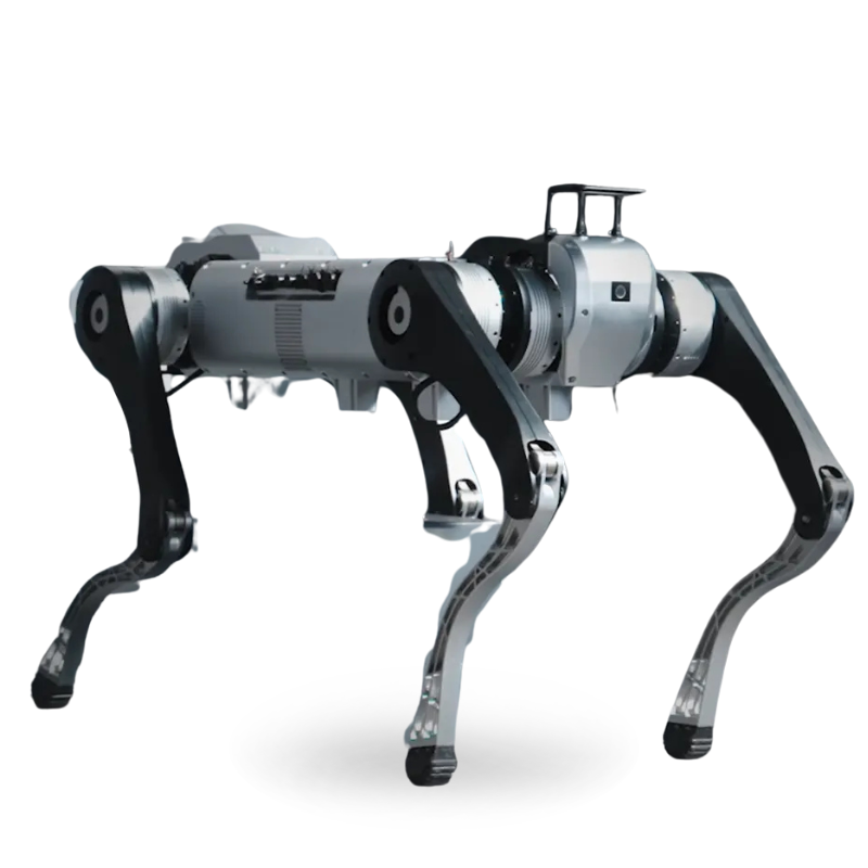 D1 MaxPro