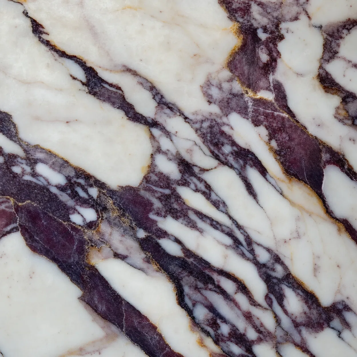 Calacatta Viola Marble