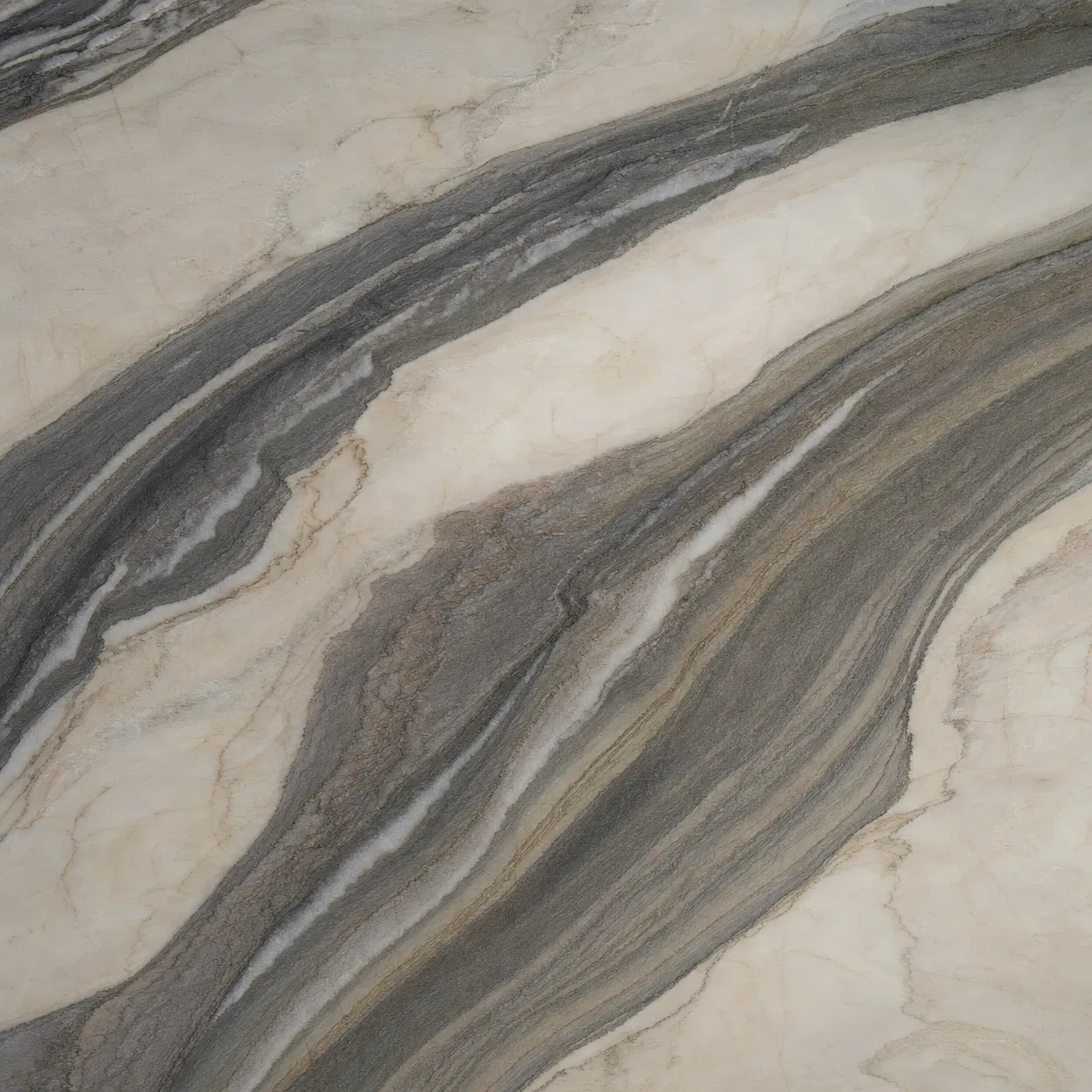 Michelangelo Quartzite