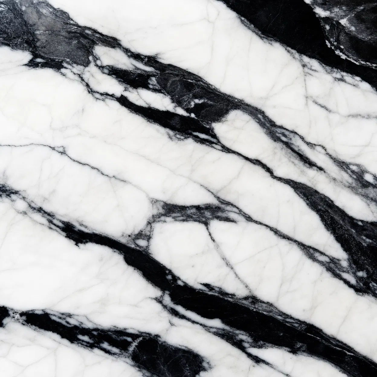 Panda White Marble