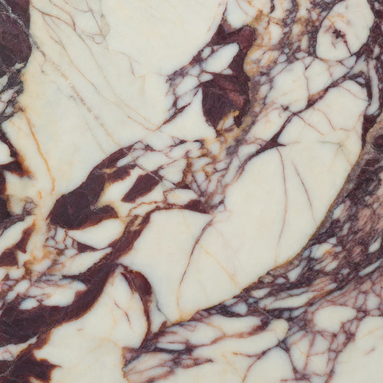 Paonazzo Marble