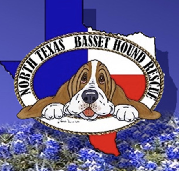 North Texas Basset Hound Rescue, Inc.