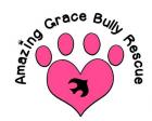 Amazing Grace Bully Rescue