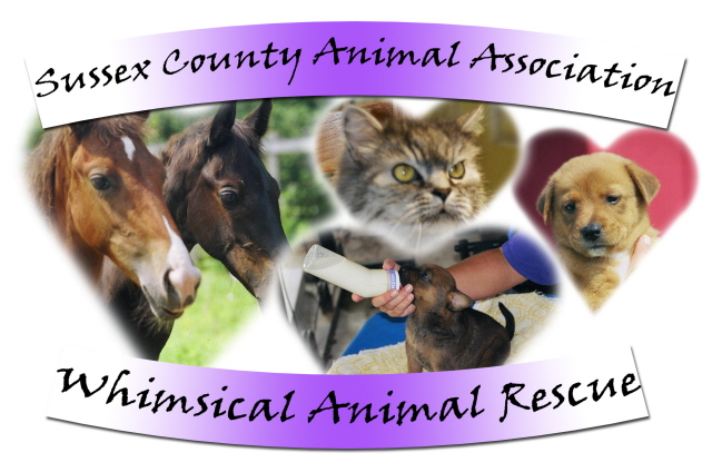 Whimsical Animal Rescue, Inc.  of Sussex County Animal Association