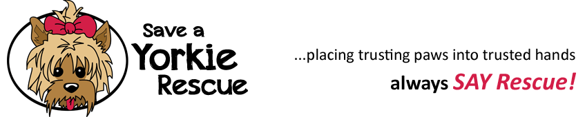 Save A Yorkie Rescue, Inc.
