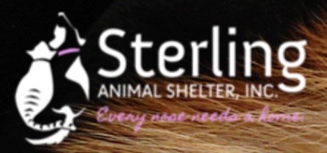 Animal Shelter Inc. of Sterling MA