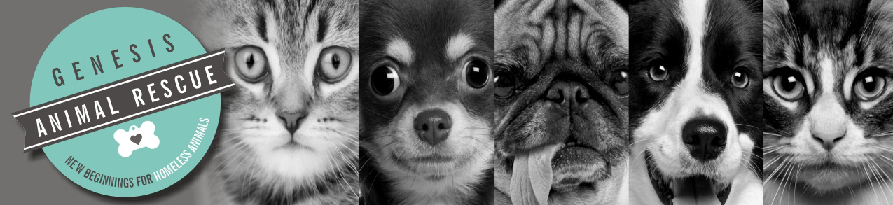 Genesis Animal Rescue