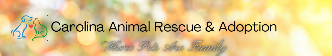 Carolina Animal Rescue And Adoption