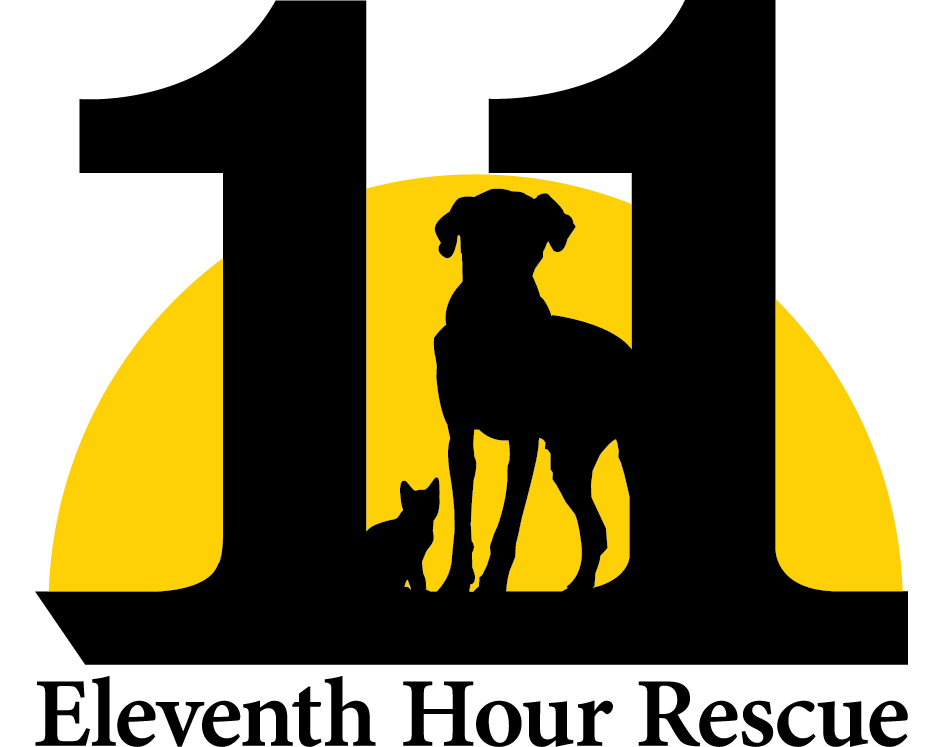 Eleventh Hour Rescue