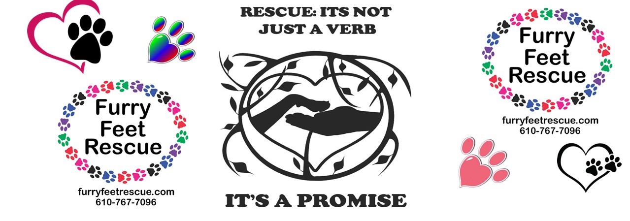 Furry Feet Rescue Inc.