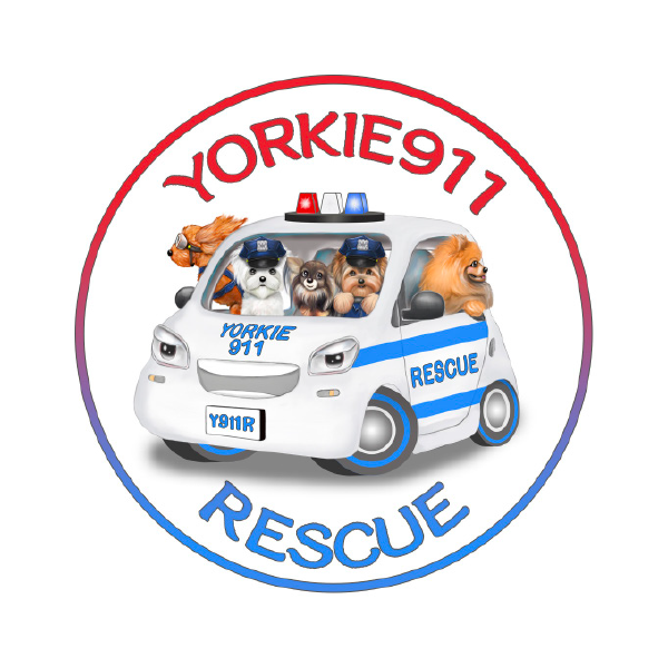 Yorkie911 Rescue, Inc.