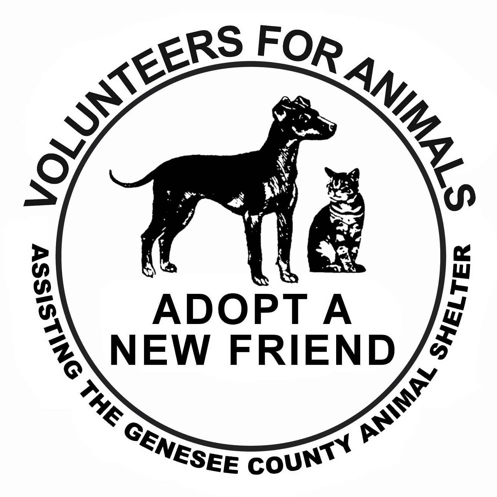 Volunteers for Animals