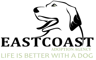 East Coast Adoption Agency