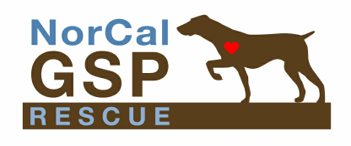 NorCal German Shorthaired Pointer Rescue