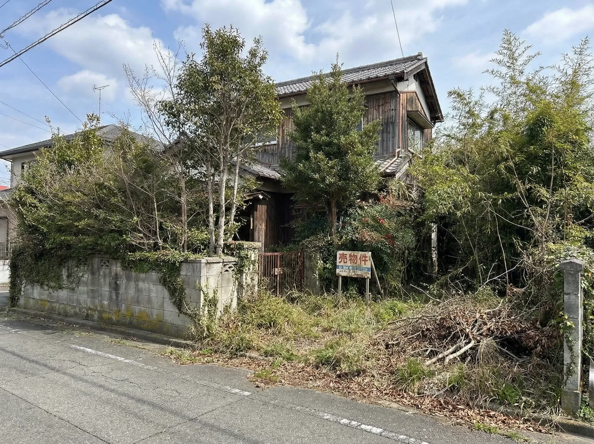 伐採作業前の様子