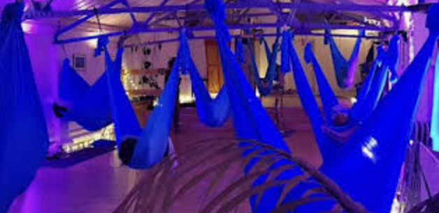 Aerial Relaxation Pods logo