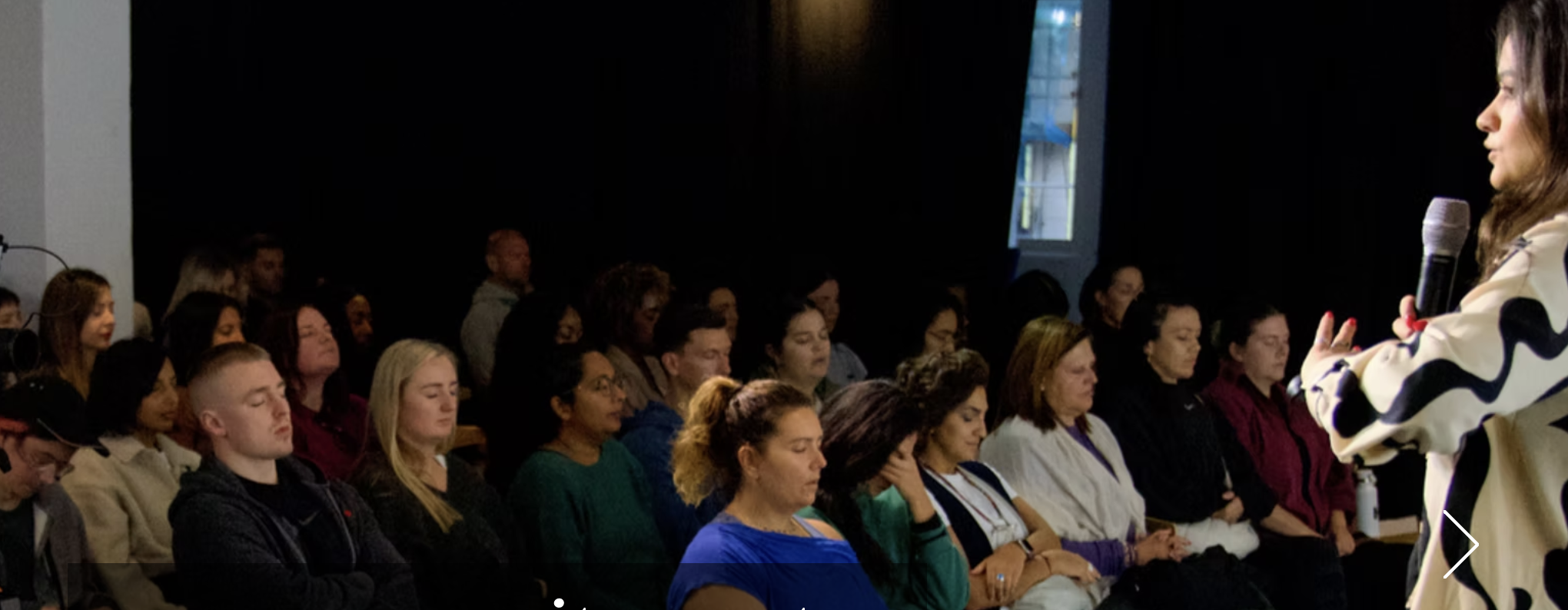 Social Wellness Club - on pause logo