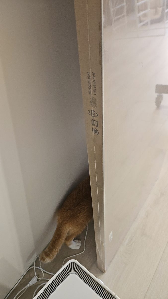 圖片 2