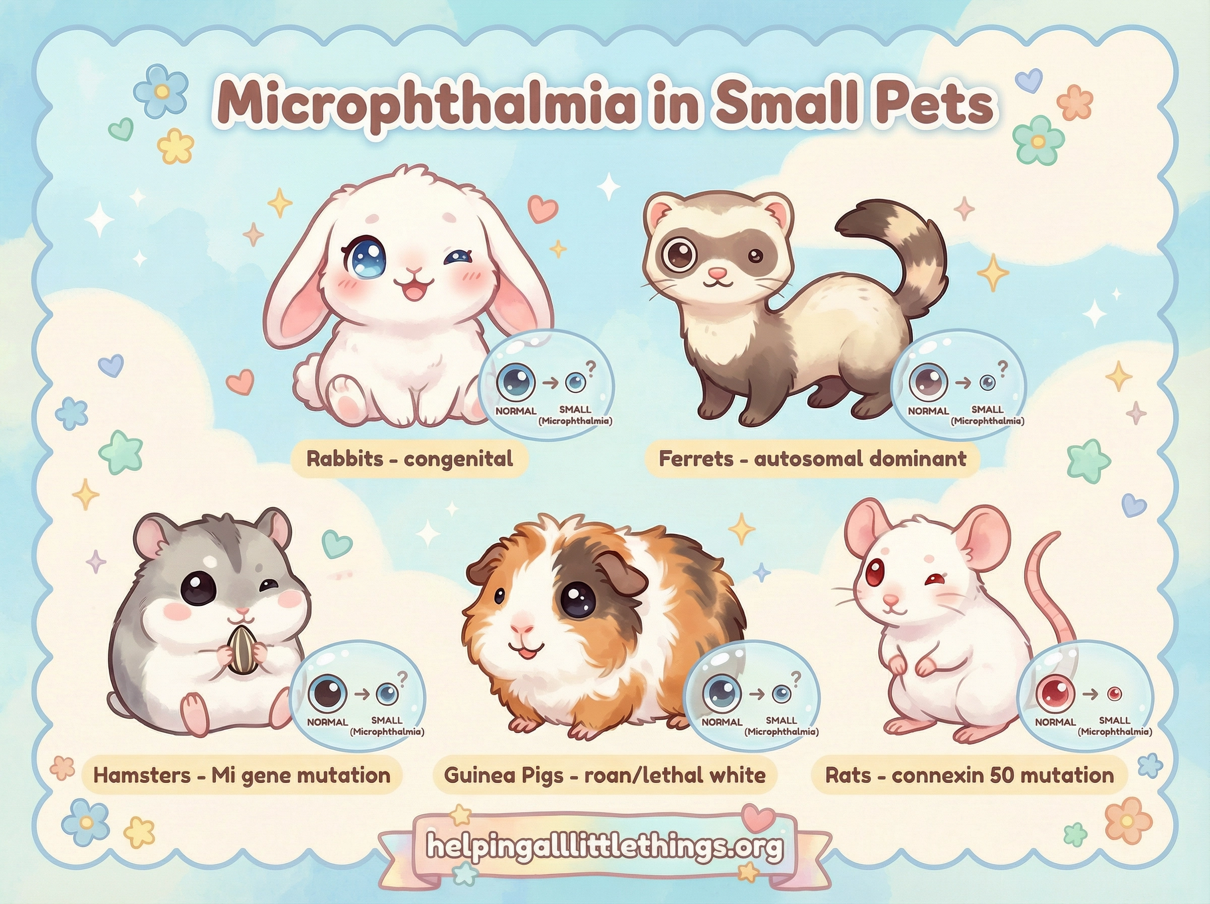 Infographic from Helping All Little Things