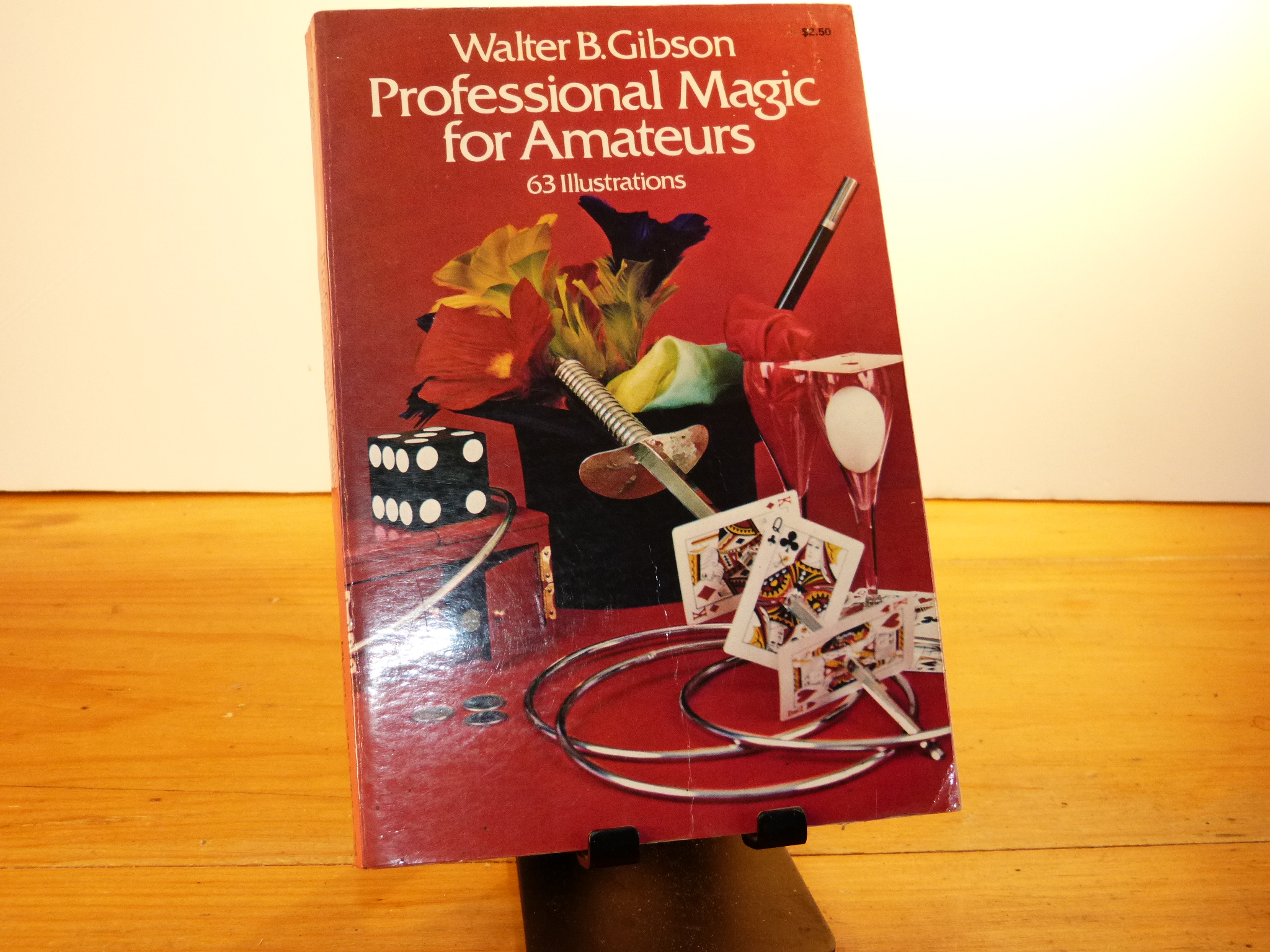 Professional Magic for Amateurs by Walter Gibson — photograph 1 of 1