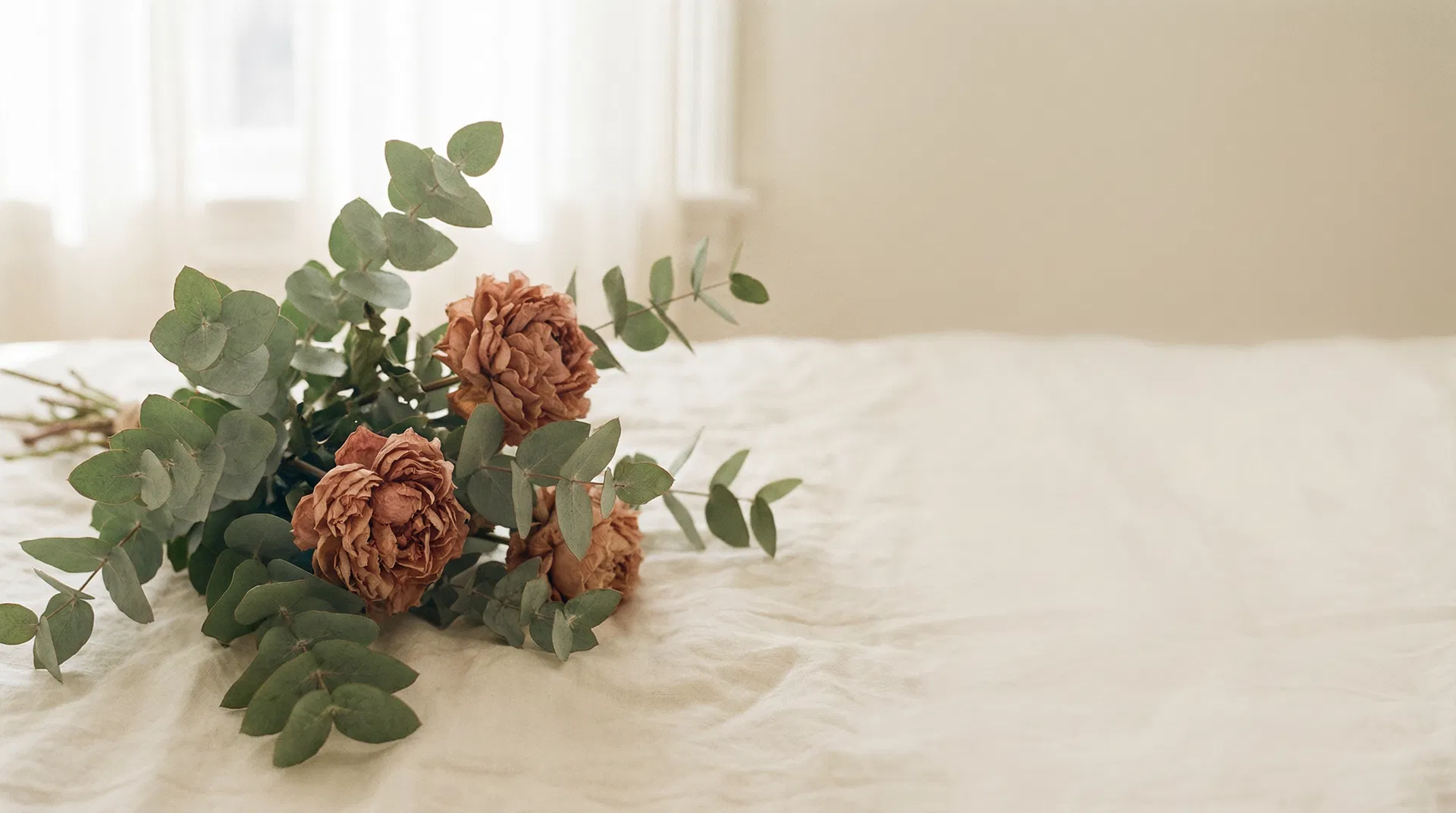 Eucalyptus and dried flowers on linen
