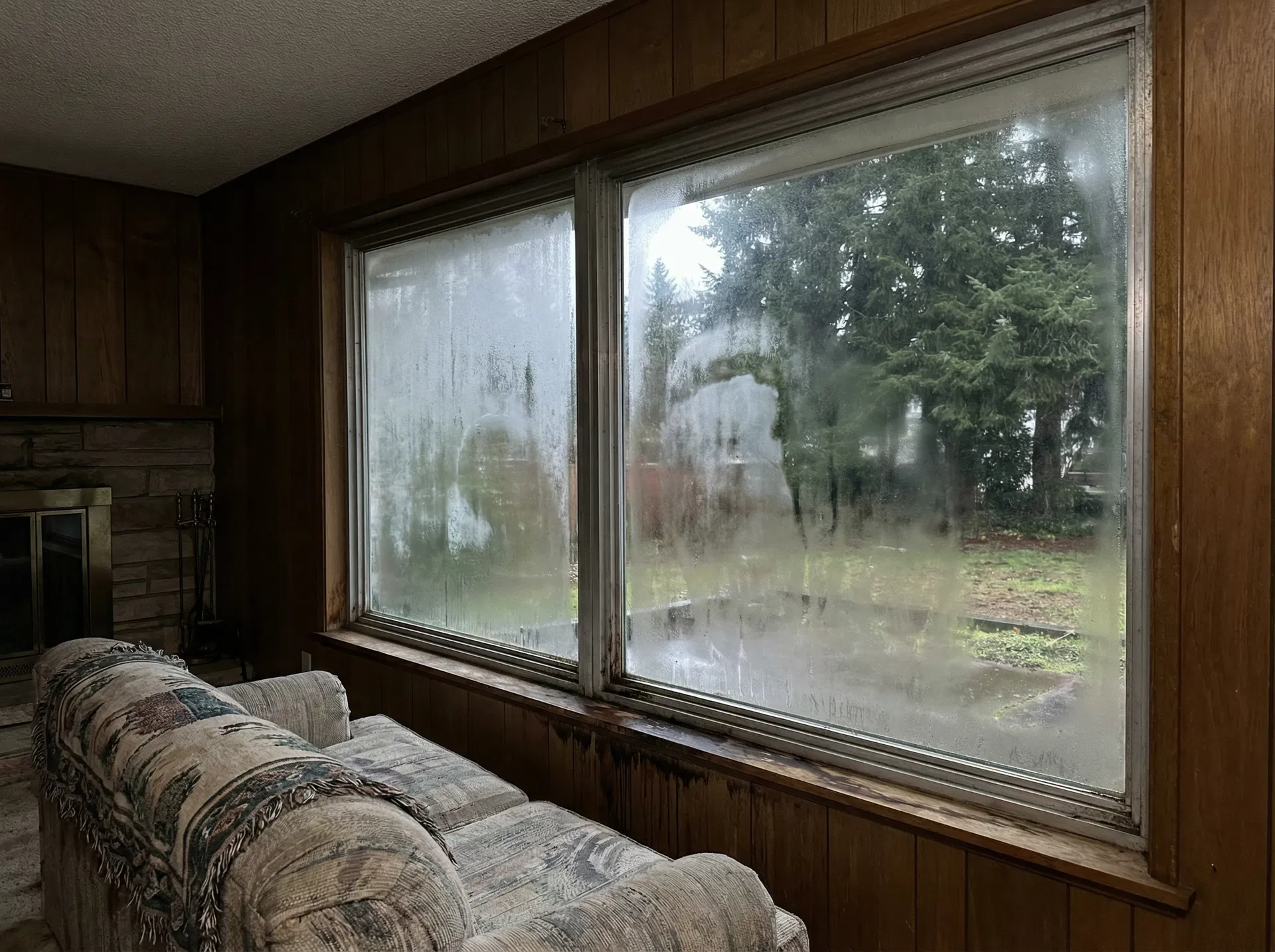 Before: Living Room Picture Window