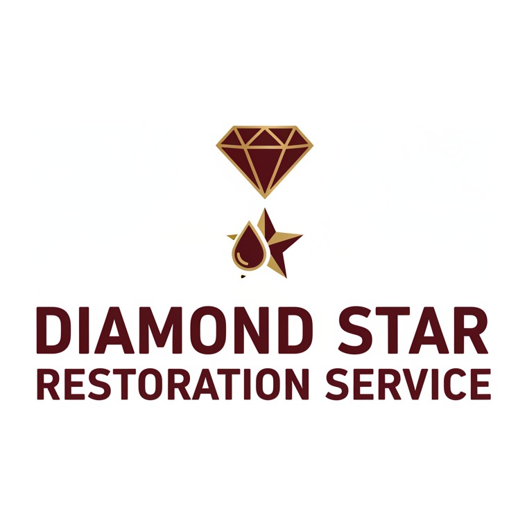 Diamond Star Restoration Service logo