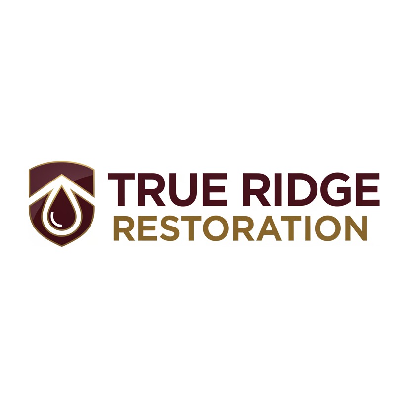 True Ridge Restoration logo