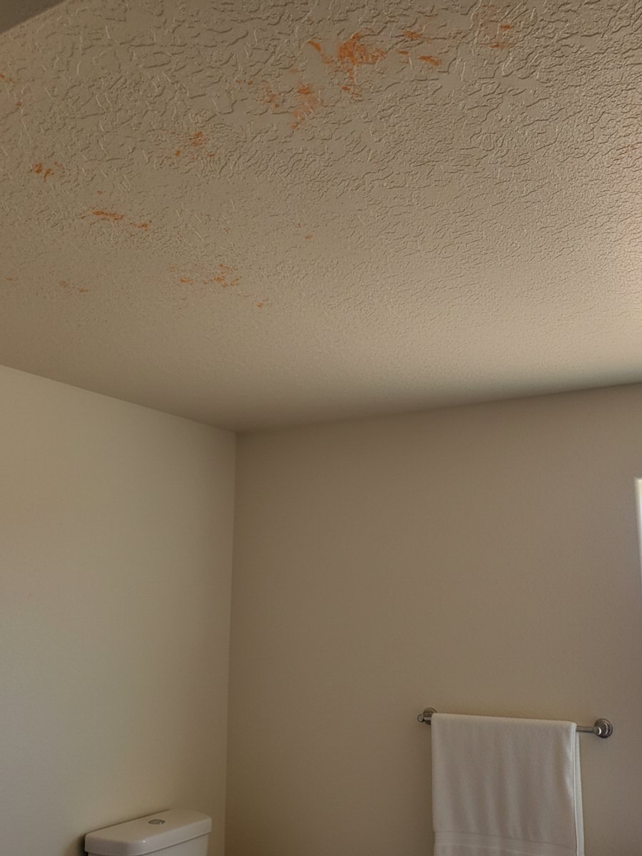 Drywall Repair