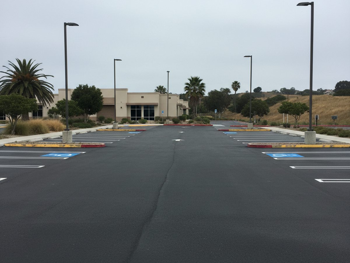 Driveway Paving