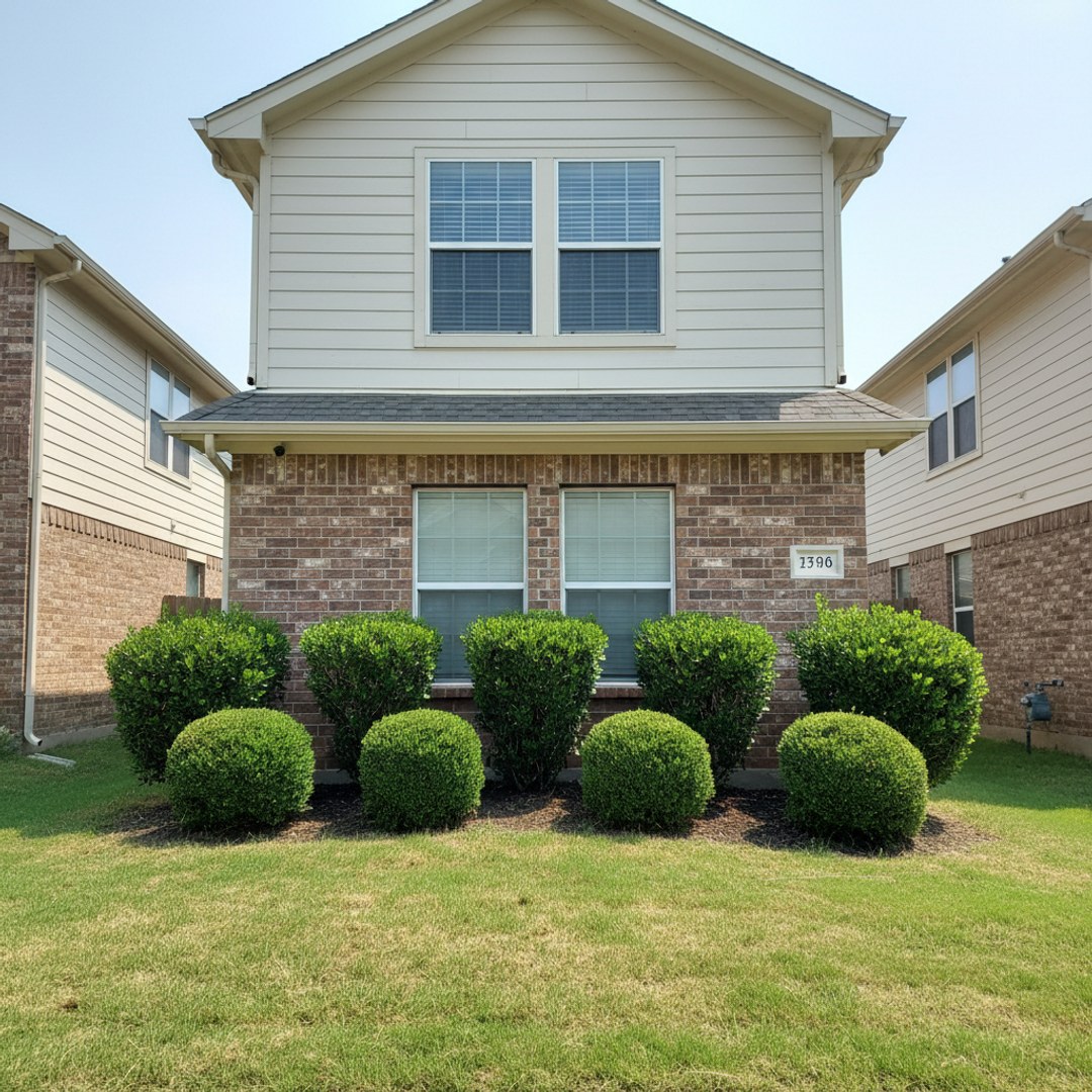 Tree Health & Care in Humble