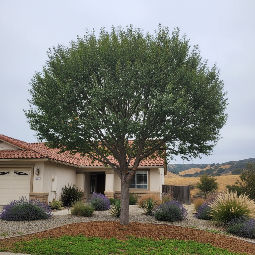 Tree Pruning
