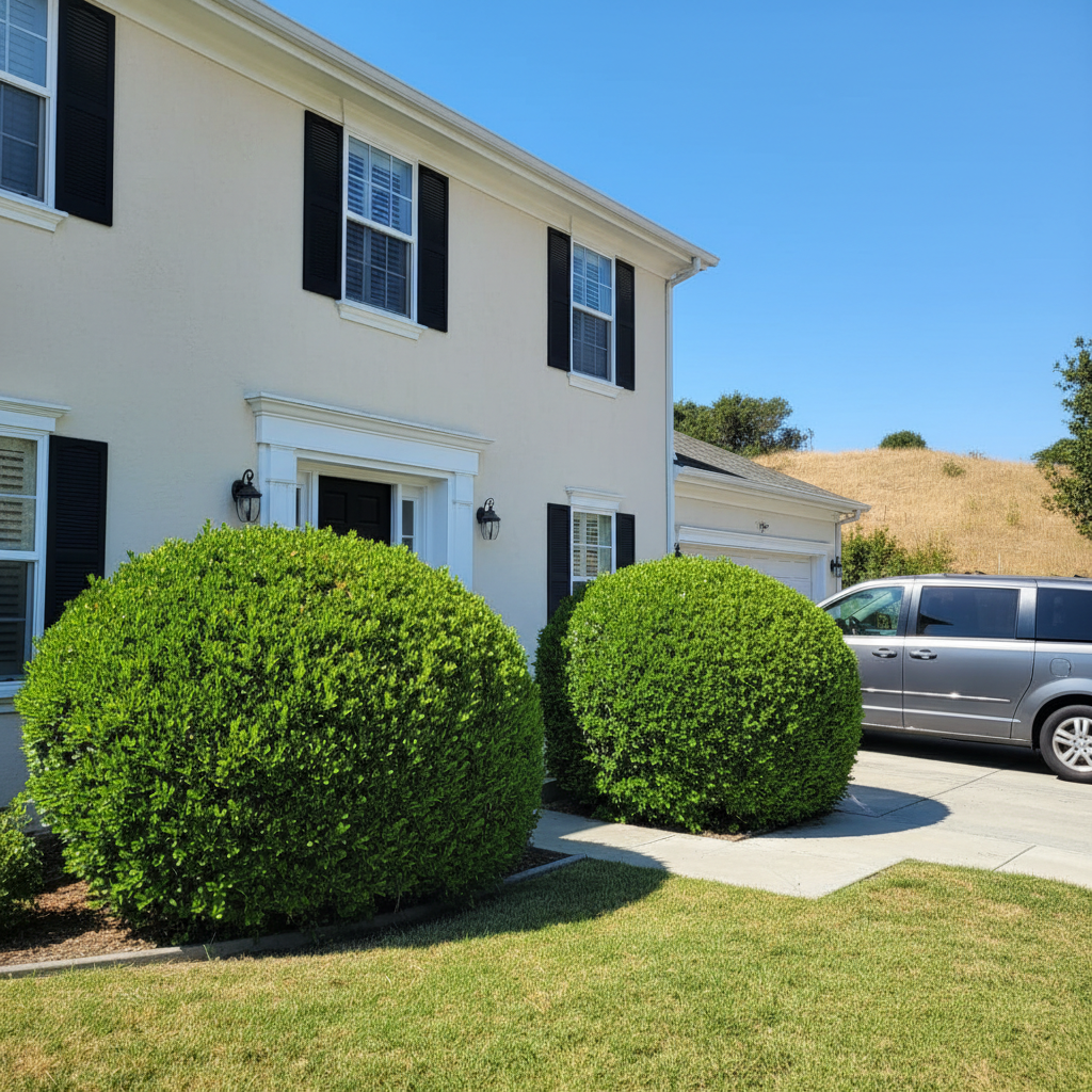 Shrub & Bush Trimming